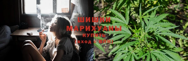 мяу мяу мука Абдулино